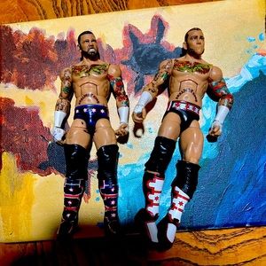 WWE Action figures for sell $10 each.